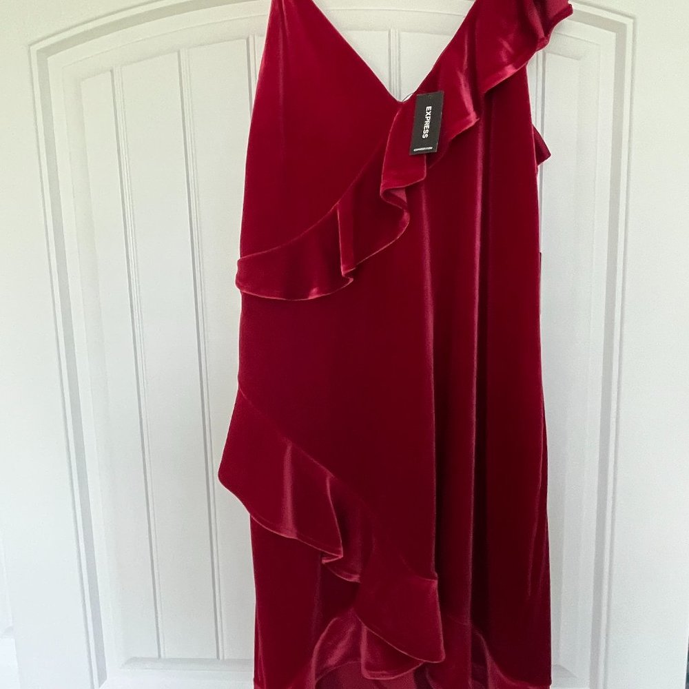 Express Red Velvet Dress